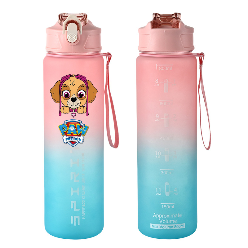 800ml PAW Patrol Sports Water  - Tech Accessories 评论和价格