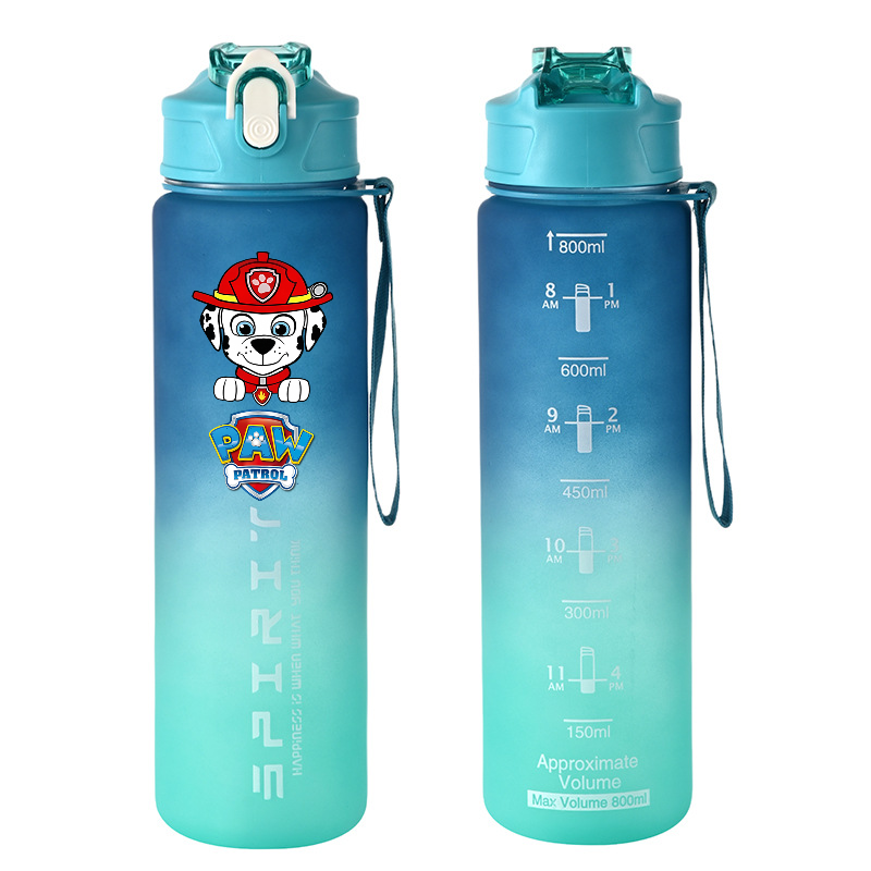 800ml PAW Patrol Sports Water  - Tech Accessories 评论和价格