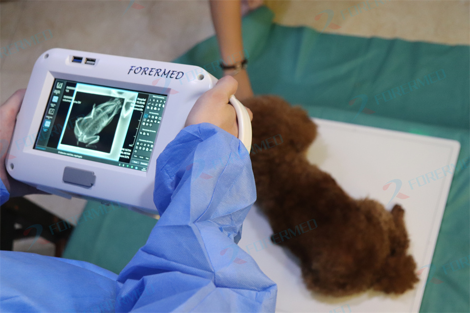 Mini Veterinary X Ray Machine  - Vet Tech Accessories 评论和价格