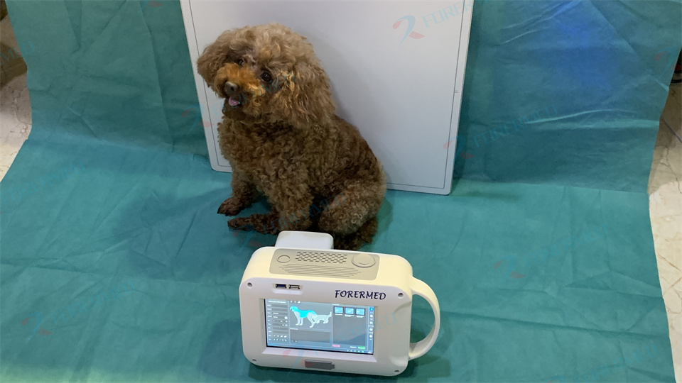 Mini Veterinary X Ray Machine  - Vet Tech Accessories 评论和价格